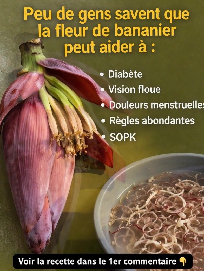 El Superalimento Escondido: ¿Por Qué NO Estás Comiendo Flores de Banano y Cómo Pueden Cambiar Tu Salud?