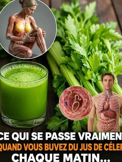 ¡No Te Lo Vas a Creer! Los 10 Impactantes Beneficios del Jugo de Apio para Sanar Tu Intestino, Vencer Virus y Combatir Enfermedades Crónicas
