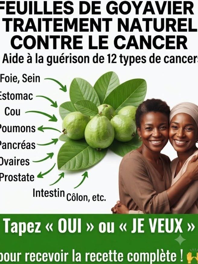 El Secreto Mejor Guardado: Descubre Cómo el Té de Hojas de Guayaba Puede Transformar Tu Salud Hoy Mismo (¡No Te Lo Pierdas!)