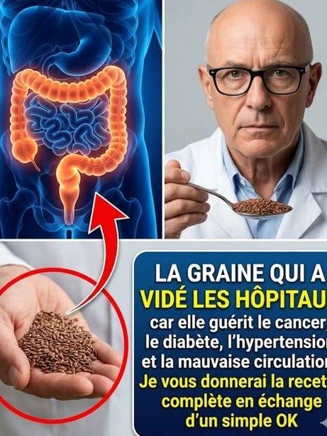El Secreto Silencioso: Esta Pequeña Semilla Que Nadie Te Ha Contado Puede REVOLUCIONAR Tu Glucosa, Tensión y Circulación