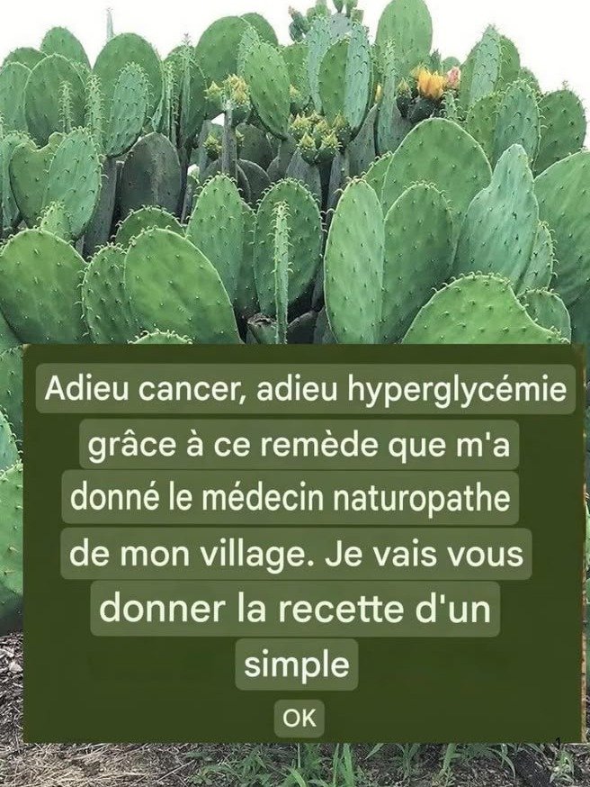 ¡8 Beneficios Asombrosos del Nopal que la Ciencia Confirma! El Cactus Medicinal que No Sabías que Necesitabas