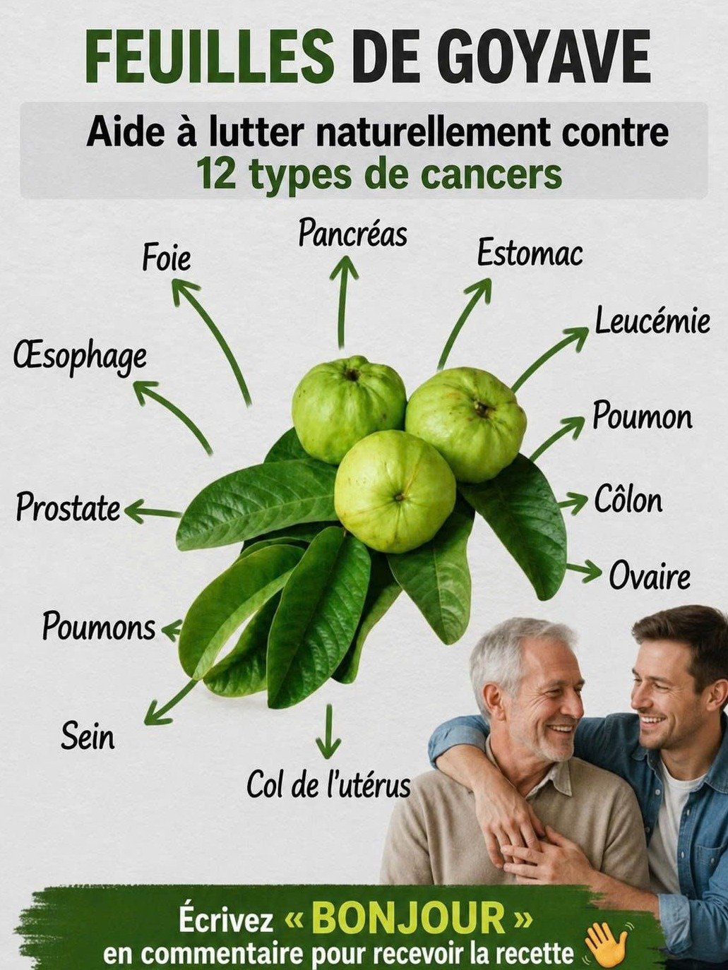 ¡Desbloquea el Secreto Ancestral! Por Qué el Té de Hojas de Guayaba Es la Joya Natural que Tu Bienestar Pide a Gritos