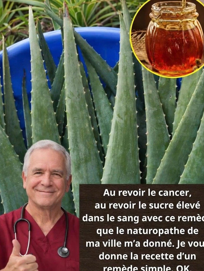 El Secreto Olvidado de la Naturaleza: Por Qué DEBES Combinar Aloe Vera y Miel Hoy Mismo para una Salud Asombrosa