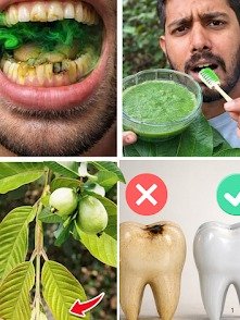 ¡El Secreto Olvidado para una Boca Impecable! Descubre 3 Formas Asombrosas de Usar Hojas de Guayaba (y el Error que Todos Cometen)