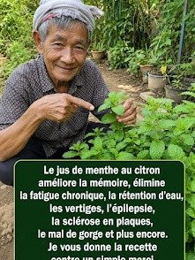 ¡Adiós al Cansancio y la Mala Digestión! La Bebida Secreta de Menta y Limón Que Revolucionará Tu Día