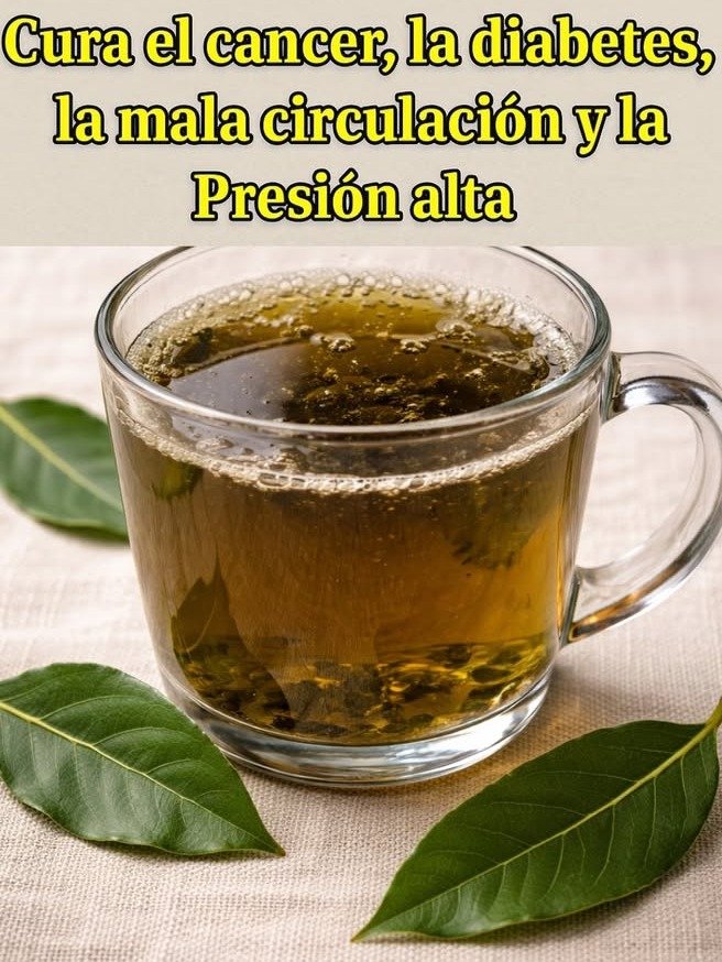 ¡El Secreto Oculto de la Naturaleza! 4 Hojas y Cúrcuma: Transforma tu Salud en Solo 2 Semanas (¡Tu Cuerpo Te Lo Pedirá!)