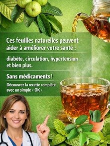 ¡El Secreto Olvidado de la Naturaleza que Podría Cambiar Tu Vida! Di adiós a la Diabetes, Hipertensión y Mala Circulación SIN Pastillas