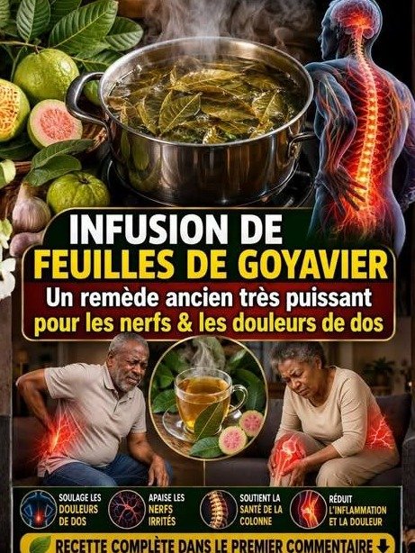 ¡El Secreto Ancestral Revelado! 17 Beneficios del Té de Hojas de Guayaba que tu Médico NO te ha Contado (¡Y que CAMBIARÁN tu Vida!)