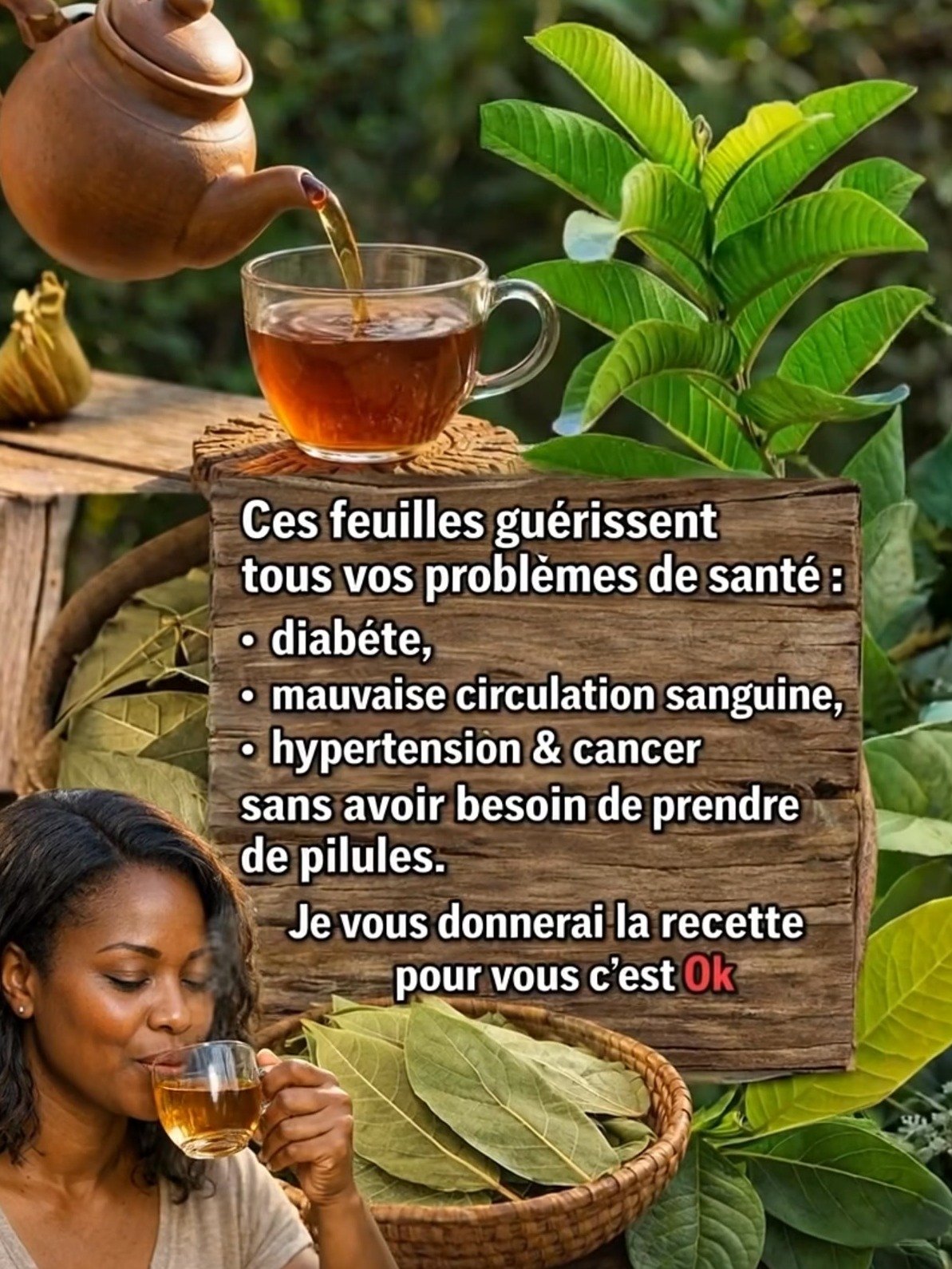 ¡Impactante! La ÚNICA Hoja Que Podría REVOLUCIONAR Tu Salud: Di adiós a la Diabetes, Hipertensión y Mala Circulación ¿Sin Pastillas?
