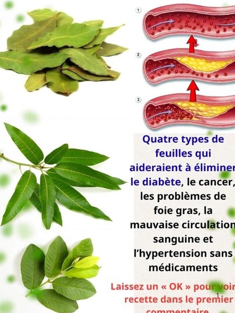 ¡El Secreto Ancestral Revelado! Descubre las 4 Hojas Cotidianas que Transformarán tu Salud para Siempre (¡No te lo Pierdas!)