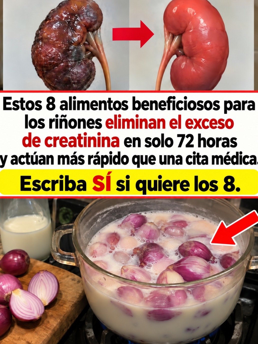 ¡Alerta Roja! Si tienes más de 70, estos 8 alimentos son CLAVE para tus riñones (y cómo controlar la creatinina HOY)