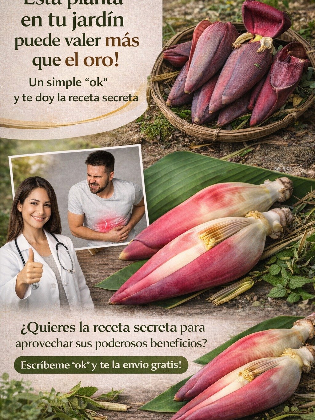 ¡Alerta! Tu Jardín Esconde 8 Secretos Asombrosos que Transformarán Tu Salud y Tu Vida