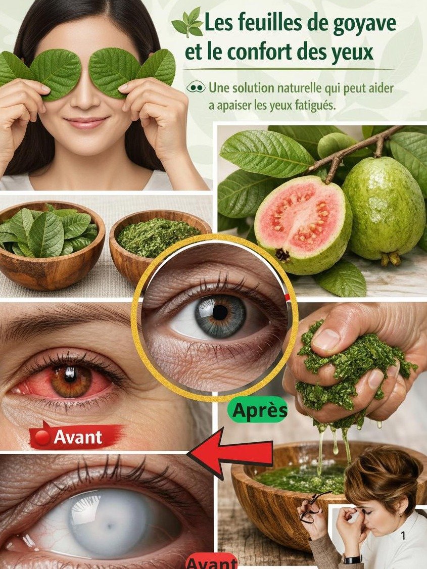¡Alerta Visión! Descubre el Secreto Tropical de la Guayaba que Tus Ojos Necesitan YA