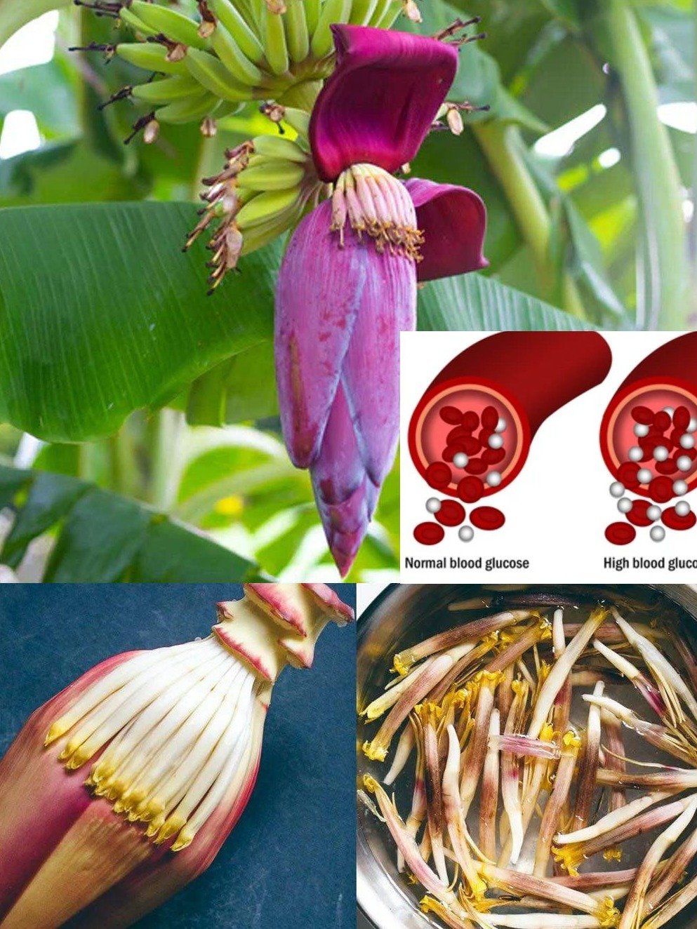 ¡ATENCIÓN! La Flor de Plátano: El Superalimento Secreto con 9 Beneficios Sorprendentes para Tu Salud (¡Y Cómo Usarla Hoy Mismo!)