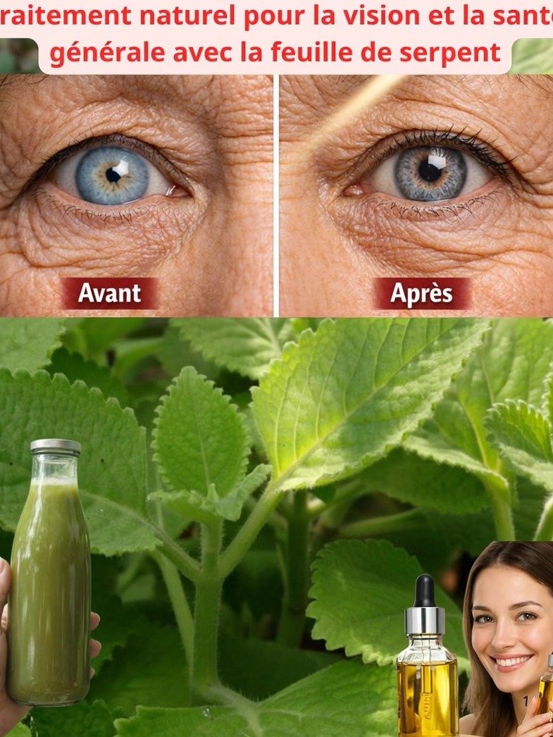 ¡El Secreto Ancestral que Podría Alejarte del Oftalmólogo! Descubre la Planta Viral que Transforma tu Visión Naturalmente ✨