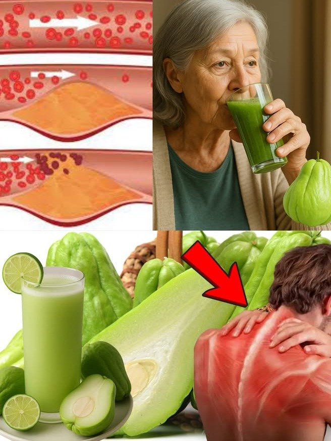 ¡EL SECRETO MEJOR GUARDADO! Si Tienes Más de 60, Este Único Vegetal Transformará Tu Salud y Energía Para Siempre