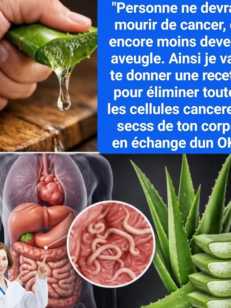 ¡El Poder Oculto del Aloe Vera Revelado! 🤫 Descubre los 7 Beneficios Reales de la 'Planta Milagro' y Cómo Usarla para Transformar Tu Piel y Salud Diaria (¡No te lo Pierdas!)