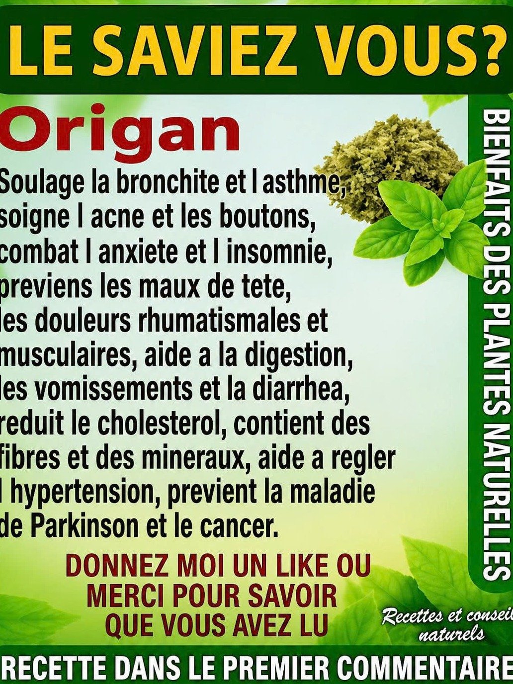 ¿Tienes ESTA planta en casa? ¡Podrías tener un TESORO OCULTO y no lo sabes! 🌿💰
