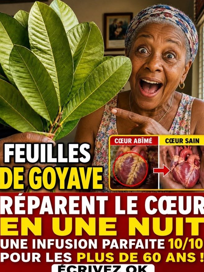 ¡ALERTA! El Secreto de las Hojas de Guayaba para 'Reiniciar' Tu Corazón que los Médicos Rara Vez Mencionan