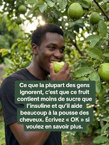 ¡Adiós al Azúcar Disparado! Descubre el Secreto Tropical que Puede Transformar tu Salud: La Guayaba.