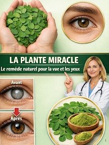 ¡ATENCIÓN! 12 Secretos de las Semillas de Moringa que TU MÉDICO JAMÁS TE REVELARÁ (y Cambiarán Tu Vida)