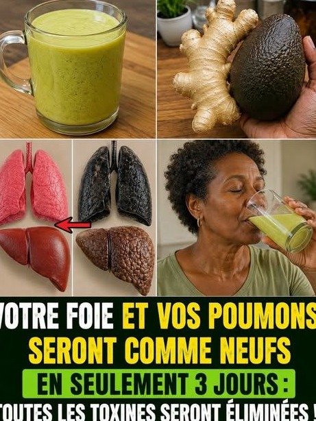 ¡Alerta Viral! La VERDAD del Jengibre y Aguacate para 'Desintoxicar' tu Hígado y Pulmones que NUNCA te Contaron