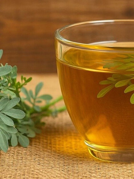¡El Secreto Ancestral Revelado! La Ruda: El Remedio Natural 'Olvidado' que Combate 10 Enfermedades Comunes y Transforma tu Salud