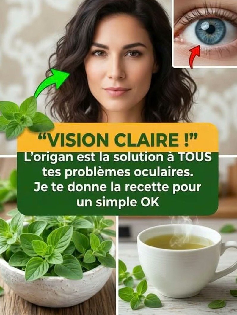 ¡Alerta Visión! El 'Árbol de la Visión' y 4 Remedios Naturales que Tus Ojos Necesitan (¡No te lo Pierdas!)