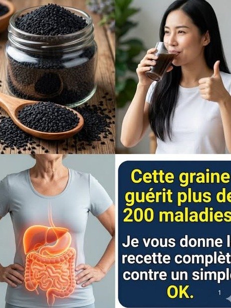 ¡El Secreto Revelado! Esta Semilla Negra Activa el 'Reinicio Maestro' Oculto de Tu Cuerpo y Salud Total