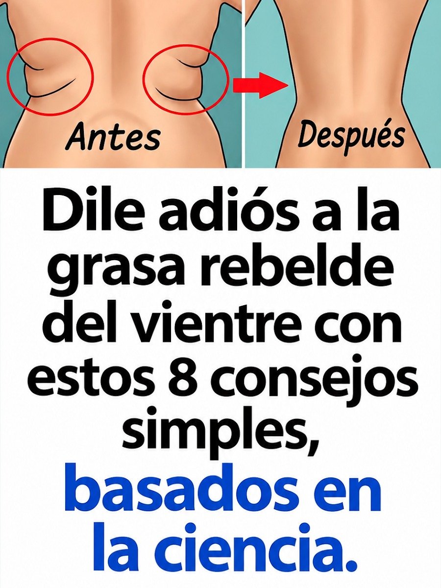 ¡El Secreto Científico! 8 Hábitos Sencillos para Fundir la Grasa Abdominal Persistente y Transformar tu Cuerpo.