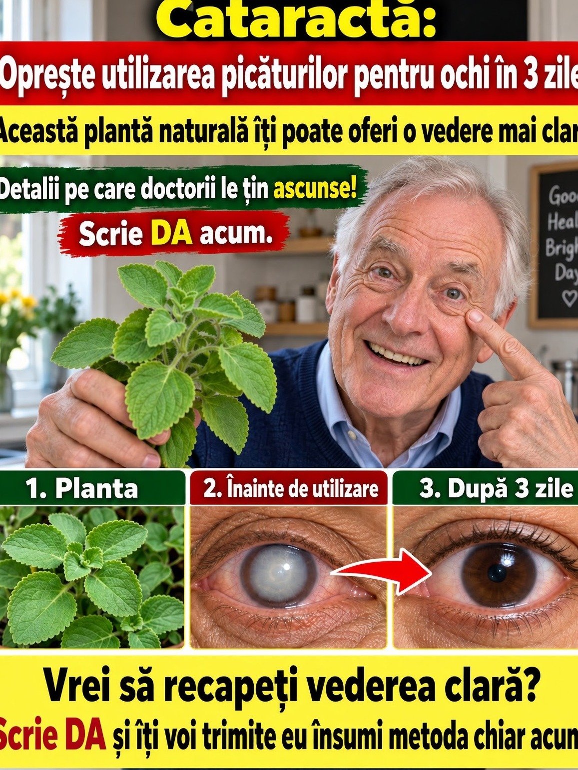 Is Your Vision Fading? The Shocking Truth About Plants, Cataracts, and How You Could Be Missing Out on Clearer Sight!