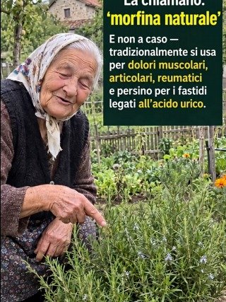 Unlock Nature's Secret: The Rosemary Remedy That *Instantly* Soothes Joint Pain, Rheumatism, and Gout!