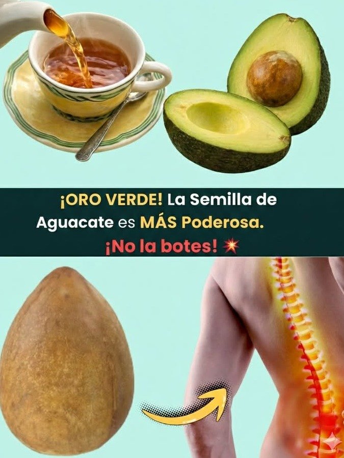 ¡NO LA TIRES! La Semilla de Aguacate Esconde el Secreto para Eliminar el Dolor y la Inflamación Naturalmente