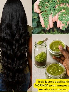 ¡El Secreto Viral para un Cabello de Ensueño! Descubre las 3 Formas de Usar Moringa y Logra un Crecimiento Capilar MASIVO (y Natural)