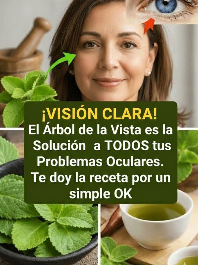 ¡CUIDADO! El 'Árbol de la Visión' NO Es lo que Crees: Descubre 4 Secretos Naturales para Proteger tus Ojos HOY