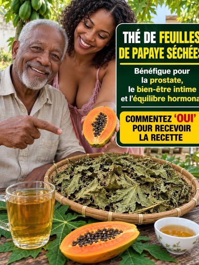 El Hábito Diario de 1 Minuto que Tu Cuerpo Te Suplicará: ¿El Té de Hojas de Papaya Es el Secreto a Tu Bienestar?