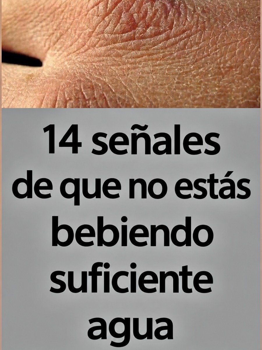 ¡ALERTA! Tu Cuerpo Te Está GRITANDO por Agua: Las 14 Señales SILENCIOSAS que NO puedes IGNORAR