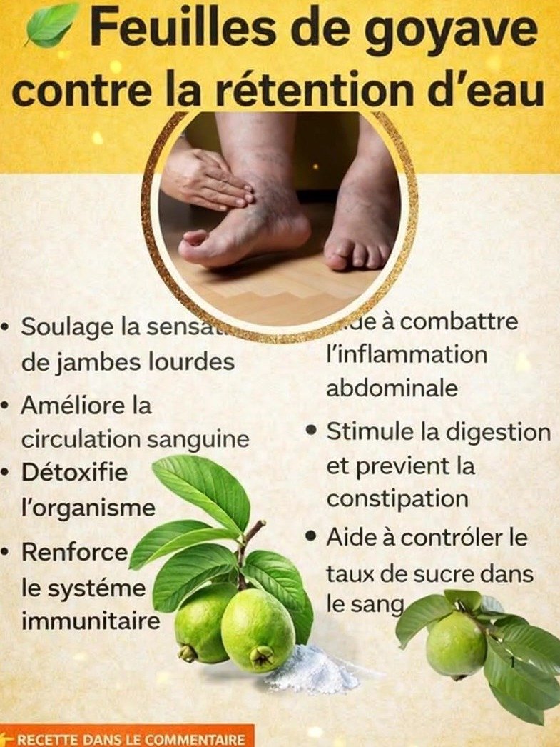 ¡Desafío de 10 Días! Descubre los 20 Asombrosos Beneficios del Té de Goyaba con Cúrcuma y Canela que Transformarán Tu Salud
