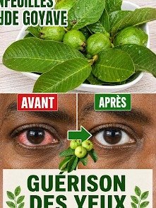 ¡No creerás lo que este FRUTO COMÚN hace por tus OJOS después de los 45! El secreto que nadie te contó para una visión de águila.