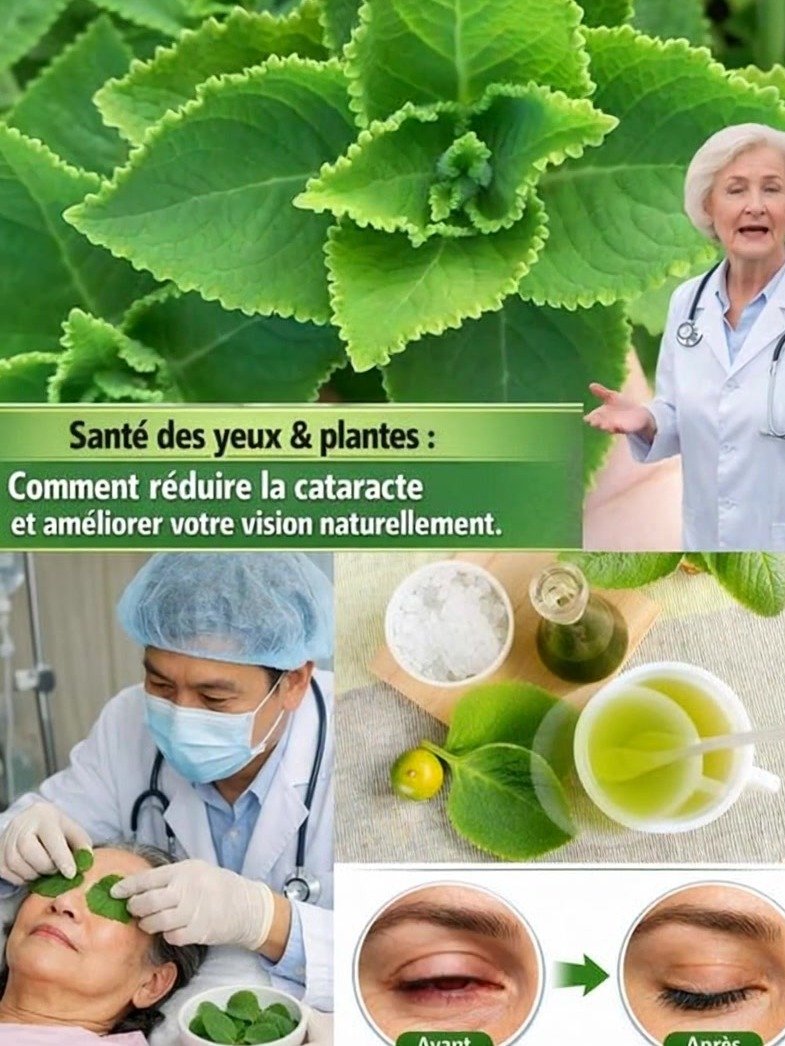 ¡Alerta Visión! El Secreto Dorado Que Tus Ojos Necesitan Urgentemente y Nadie Te Ha Contado
