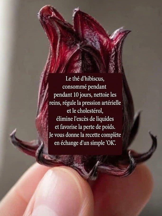 ¿10 Días de Té de Hibisco? ¡Tu Cuerpo Te Lo Agradecerá! Descubre los Efectos Asombrosos que Te Estás Perdiendo