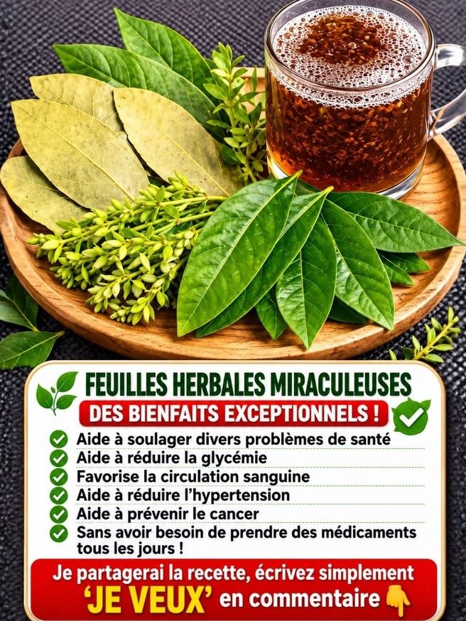 ¡No Te Lo Vas a Creer! Las Hojas Olvidadas Que Podrían Transformar Tu Salud Naturalmente