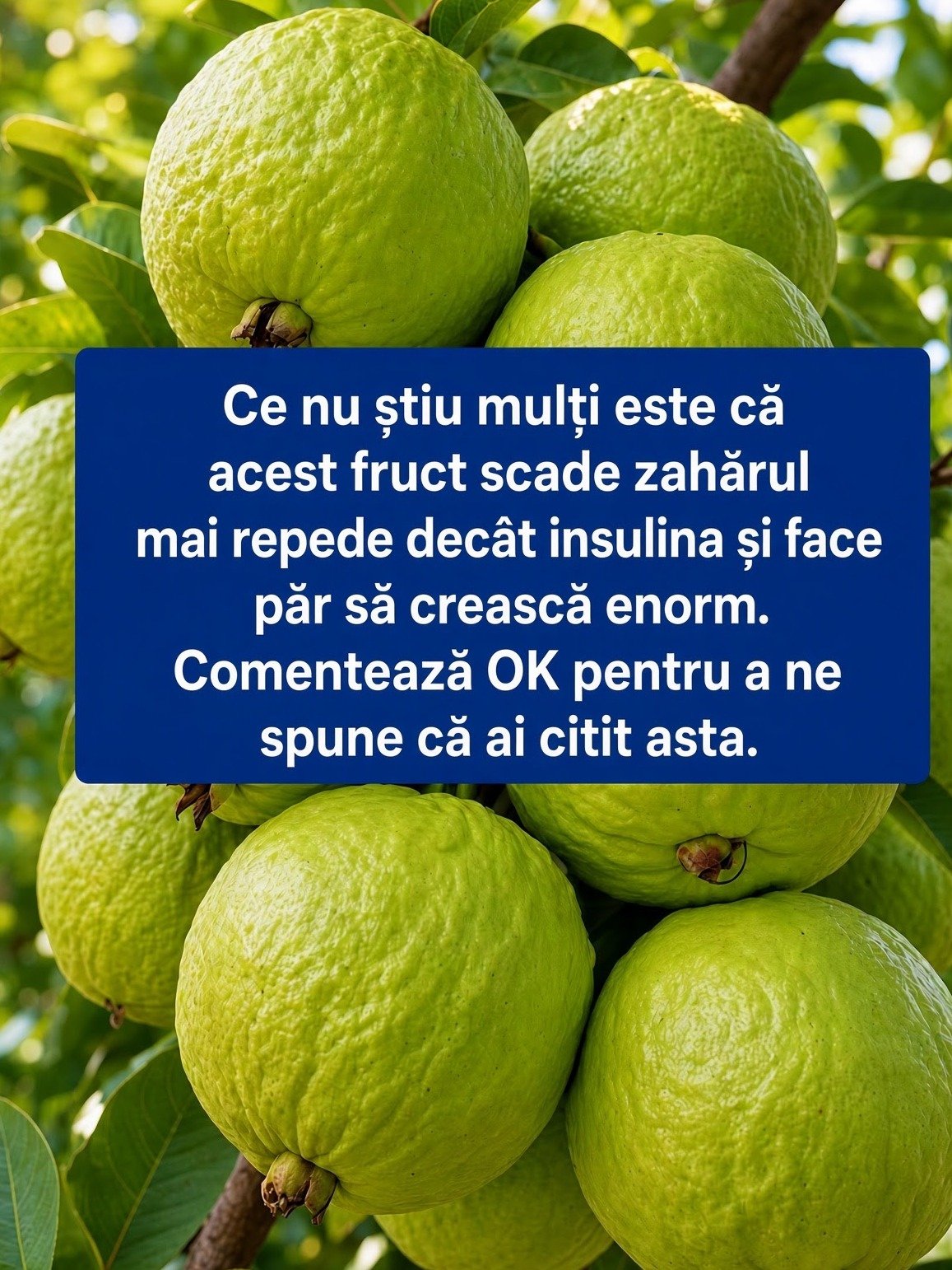 The Guava Revolution: Why This Tropical Fruit Is About to Change Your Diet Forever!