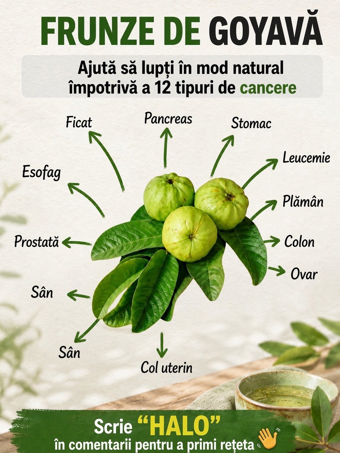 Discover the Hidden Power of Guava Leaf Tea: Your Guide to 5 Surprising Benefits & Easy Home Brewing